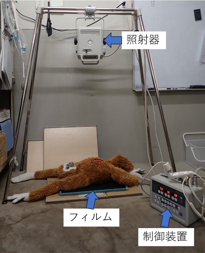 レントゲン撮影装置
