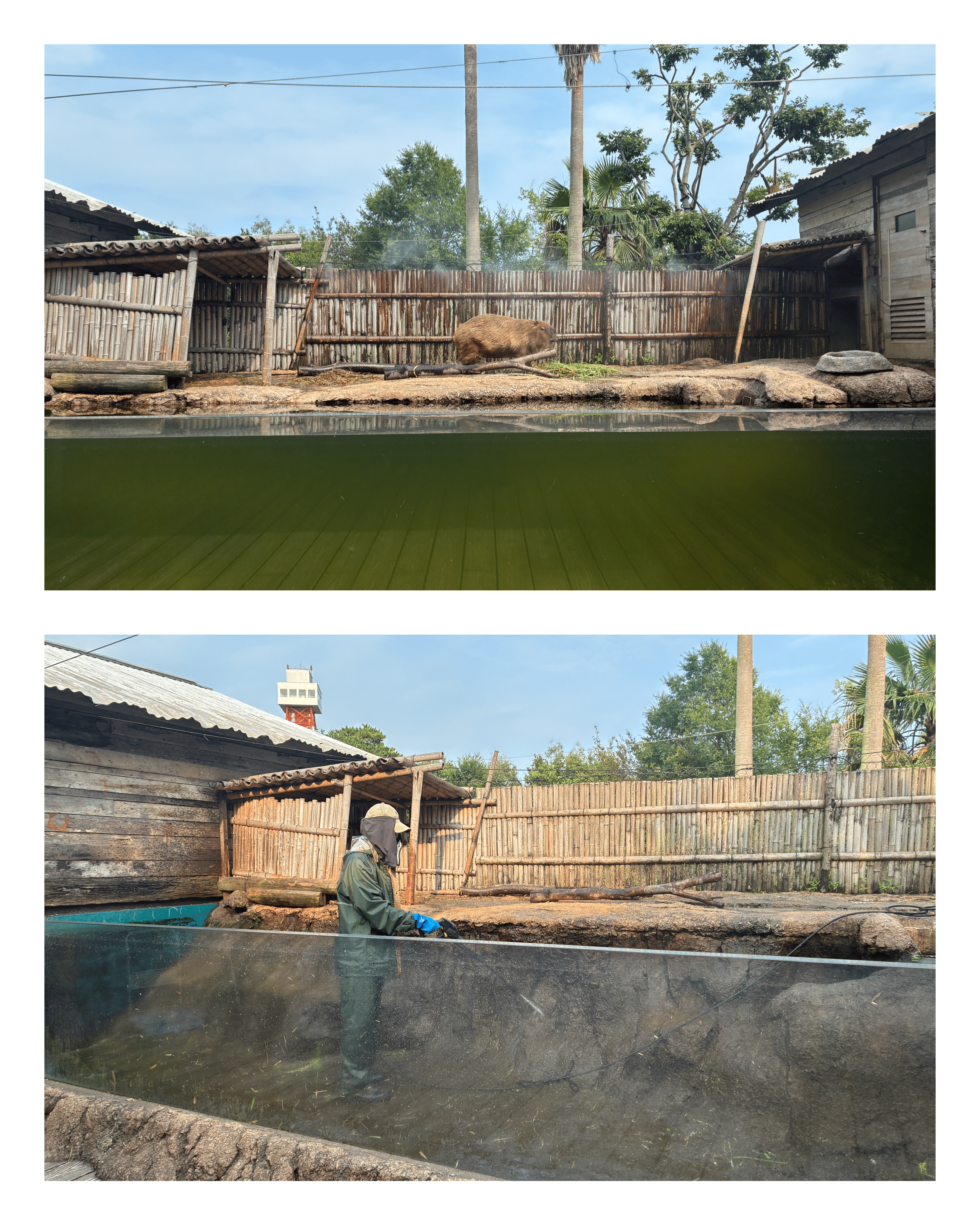 ファイル_000.png