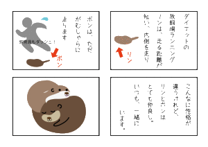 カワウソ②gif