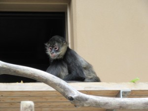 5月28日のハルしょんもり。